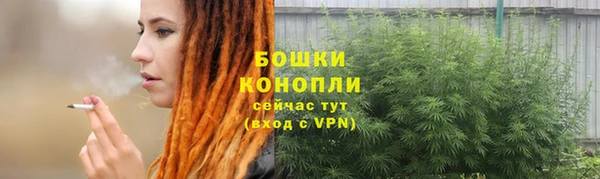 spice Аркадак