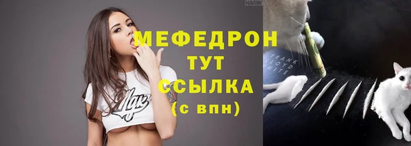spice Аркадак