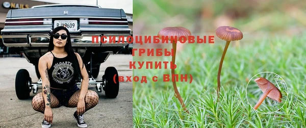прущие крисы Арсеньев