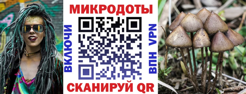 где купить наркоту  Починок  Галлюциногенные грибы Cubensis 