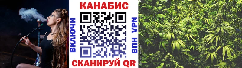 Марихуана план  купить закладку  Починок 